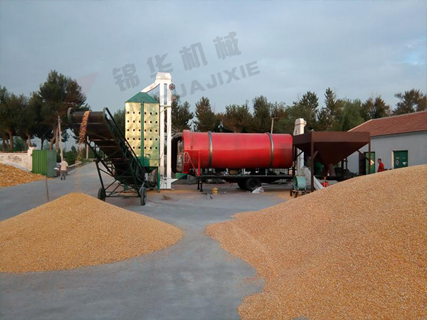 河南三門峽水稻烘干現(xiàn)場 